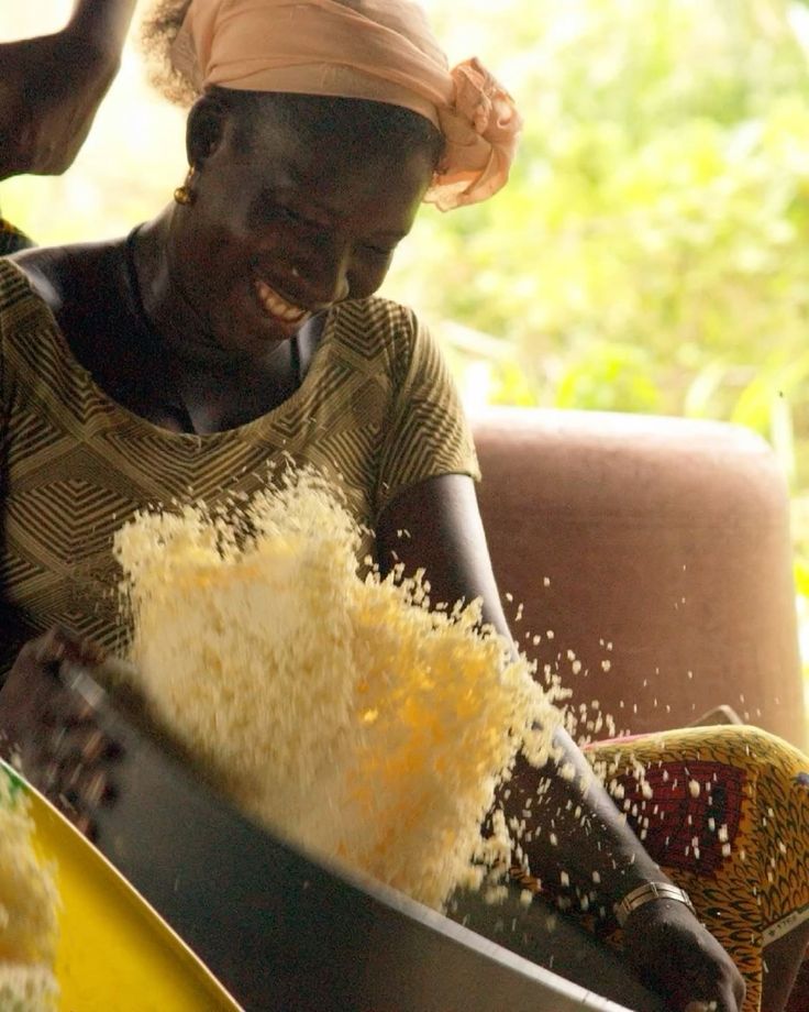 Innovation en matière de récolte